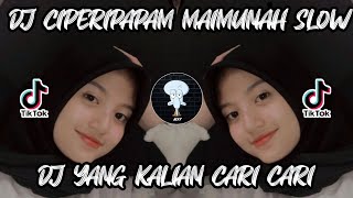 VIRAL!! DJ CIPERIPAPAM MAIMUNAH VIRAL TIK TOK 2022