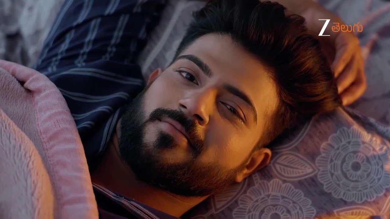 Meghasandesam | భూమి కి అపూర్వ పెట్టిన షరతుల గురించి తెలిసిన గగన్