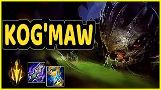 CHALLENGER ADC 10CSPM Gameplay - Kog'Maw vs Lucian | 13/7/11