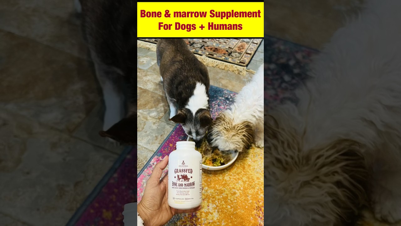 Can you use Bone & Marrow for dogs too?