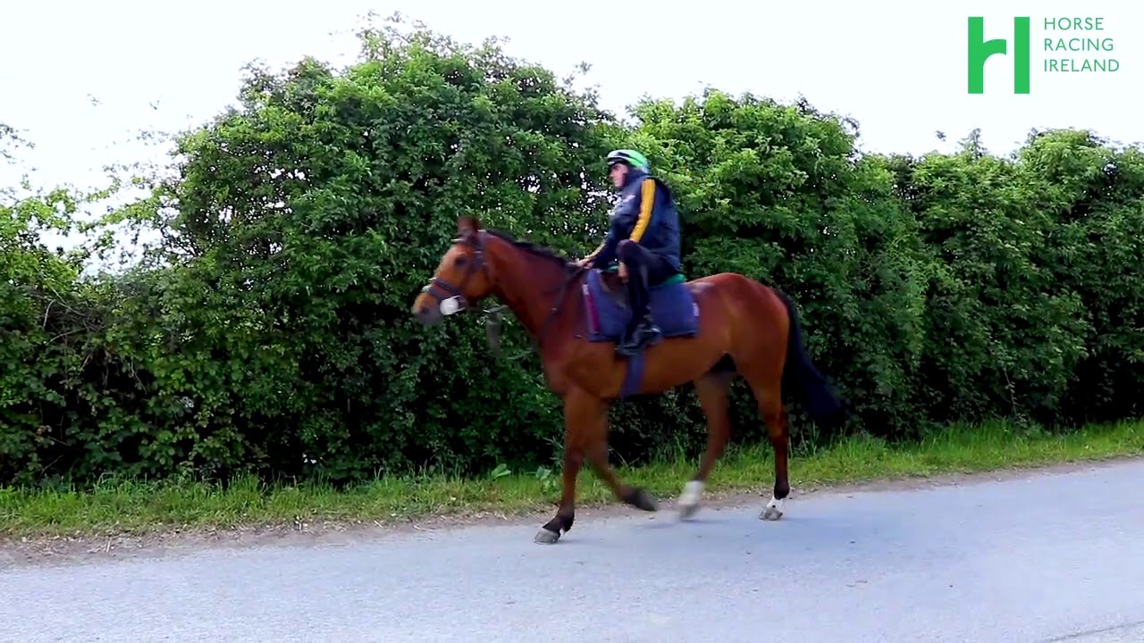 Ado McGuinness Facilities