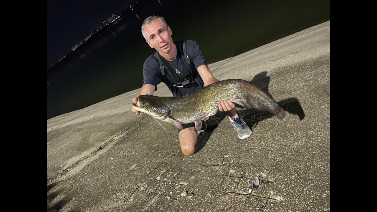 Cum sa prinzi somn pe Lacul Morii cu echipament de biban