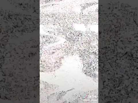 ما أحلى الايام الي بتجمعنا اخر يوم تصوير كان