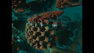 Real-time Mandelbulb renderer