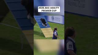 Every Second Counts 💨 | 2026 AKC Agility Premi...