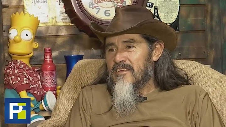 He built his house seven meters above the ground: this is what it's like to live high in a tree