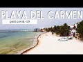 Playa del Carmen Mexico 2020 | Reopening for Business?