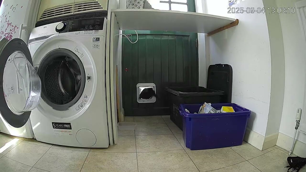 Sure Petcare dual scan catflap tailgate FAIL - intruder cat escape 