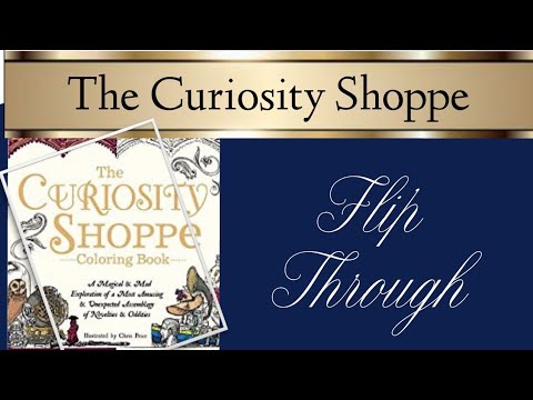 The Curiosity Shoppe | Book Flip Through