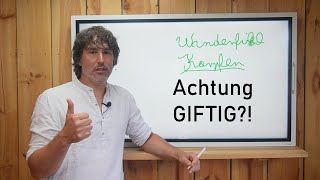 Umweltgifte Überall, Kann Man Fisch Noch Essen?