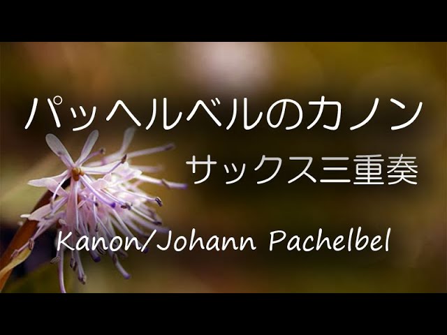 Canon and Gigue in D / Pachelbel / Saxophone Trio - YouTube