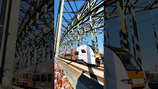 RRX train crossing the bridge in Cologne 🇩🇪
