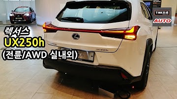 [시승기-실내] 렉서스 UX 250h 전륜/AWD 차량 간단히 비교해보기 ( Lexus UX 250h)