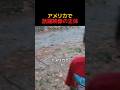 穏やかな午後を襲った衝撃映像