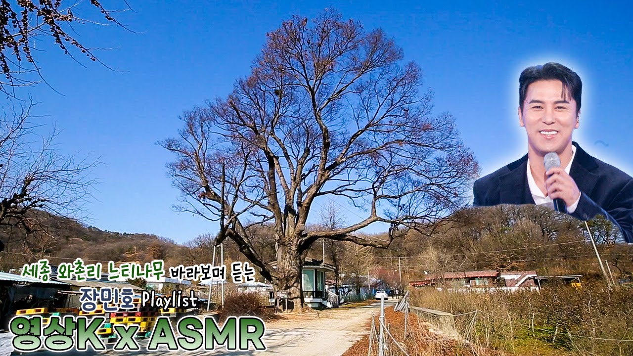 홀씨🌾 #장민호 와 함께하는 세종특별자치시 연서면 와촌리 느티나무 / KBS 대전