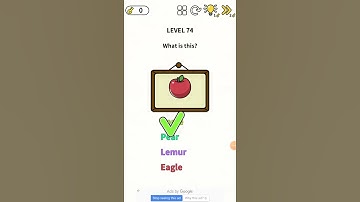 Brain Games | Level 74 | SUBSCRIBE | SUBSCRIBE