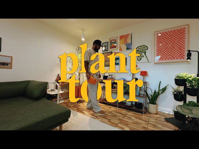 plants + mid century modern home vibes - YouTube