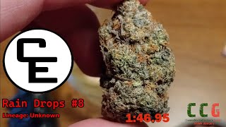 CE - Rain Drops #8 - 5 Min Review 