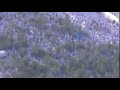 مشاهد للمونتاج الحج ٢