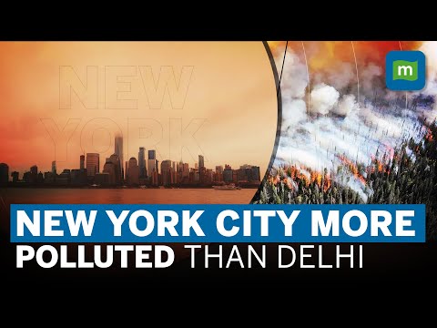 New York Becomes World's Most Polluted City Replacing Delhi | How Canada Wildfires Impacting NYC Episode cover