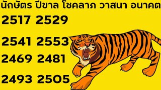 ดวงคนปีขาล วาสนาโชคลาภ ลาภลอยการงาน คู่ครอง บุตร 2553 2541 2529 2517 2505 2493