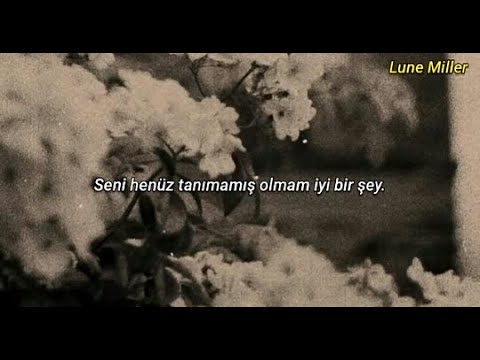 {artistName} adlı sanatçının {trackName} müzik videosunu izle