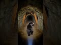 Grizzly Bear POV: Micro Camera Exploration of an Abandoned Gold Rush Mine