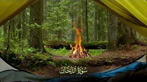 تلاوة هادئه لشاشات المنزل| لطرد الطاقه السلبيه من المنزل ارح قلبك❤ واطمئن