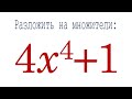 Разложить на множители ➜ 4x^4+1