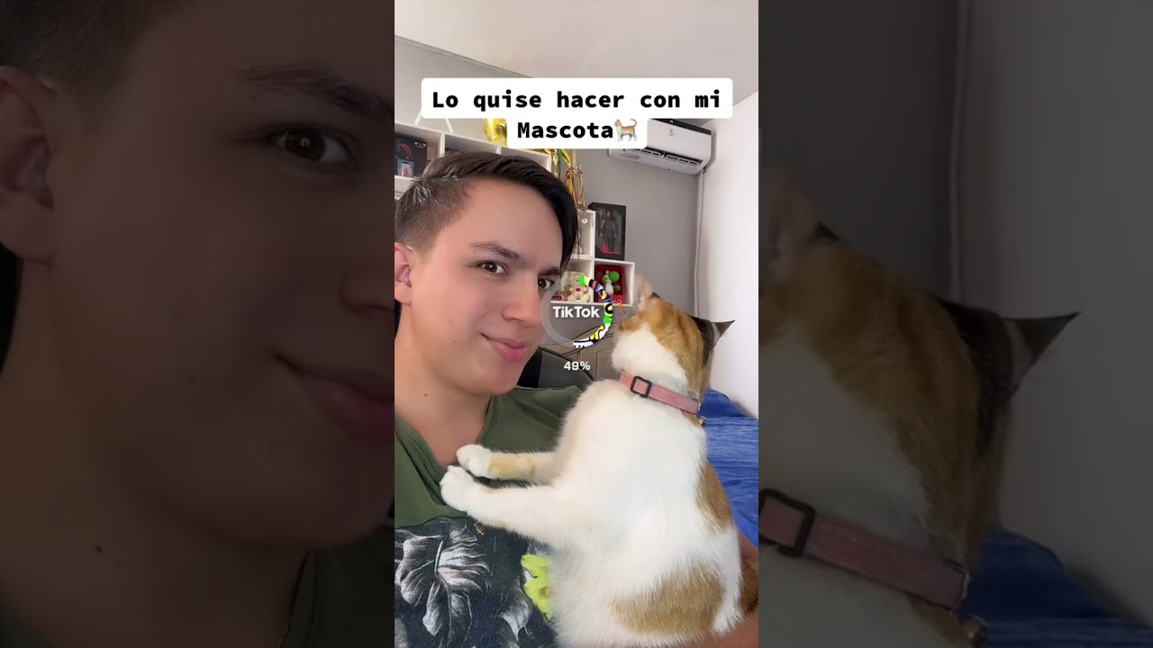 MI GATA SE TRANSFORMA EN HUMANO😱