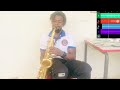 Sebe alaye saxophone cover by swiss nikihs alphablondy53