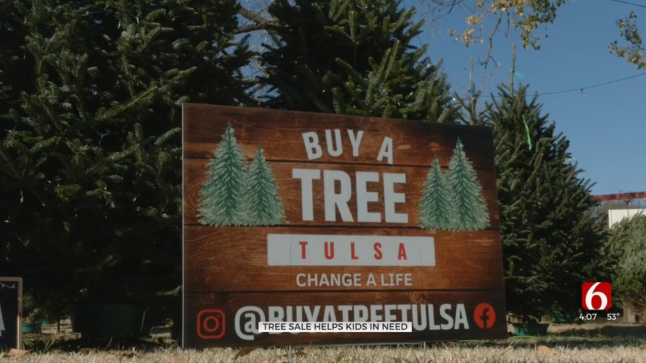 Local Christmas Tree Farm Proceeds Go To Children In Need - YouTube