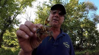 How To Rig and Fish Live Crawfish