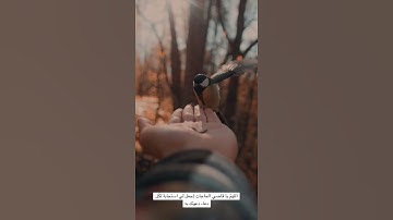 تلاوة خاشعة لسورة #الزمر تقشعر لها الجلود أحمد  العمراني #quran