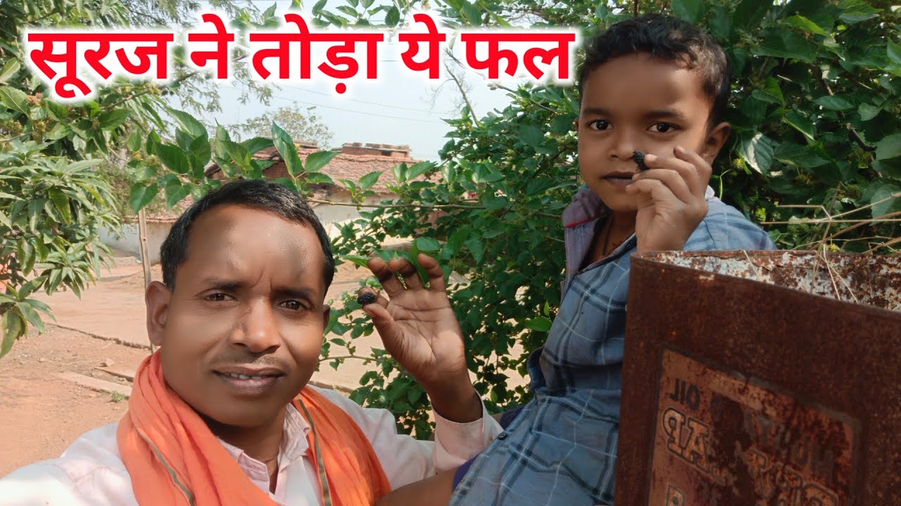 सूरज ने तोड़ा ये फल || ramesh raj vlog || Village Life style vlog 