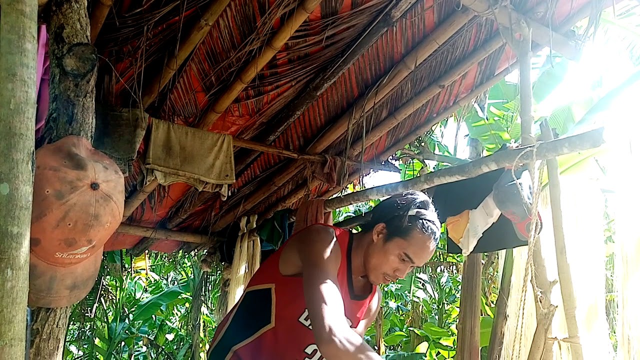 Catanduanes abaca fiber,,, how to make abaca fiber YouTube