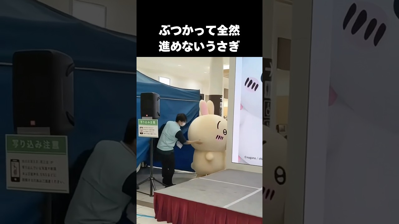 ちいかわの仲間たちが可愛すぎる#ちいかわ #ちいかわアニメ #chiikawa