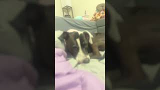 What should this title be? I have no clue. #nails #nailfiles #pastelnails #nailitmag ￼