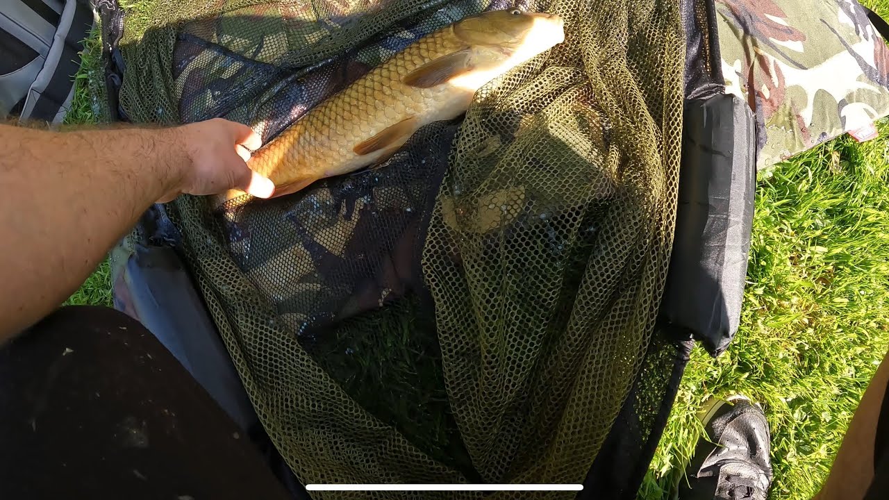 Epic Fail on the First Cast… Yet I Still Landed a Carp 🎣 #fishing #fish ...