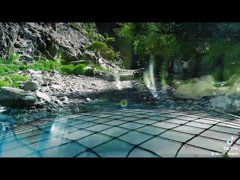 تفتكرني نسيتك لا وربي زاد قربك 