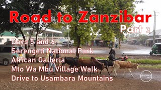 Road Trip - Nairobi to Zanzibar – Intrepid Travel – Part 3: Serengeti – Mto Wa Mbu Village Walk