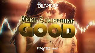 Biltmore - Feel Something Good (VAYTO REMIX) 2021