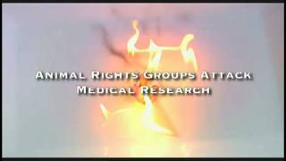 Who Wants to Slow Cancer Research?