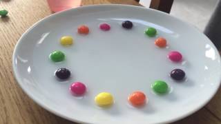 The Skittles Rainbow Experiment With Water - Kids Science Experiment