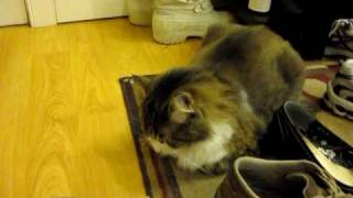 MVI_0091.MOV