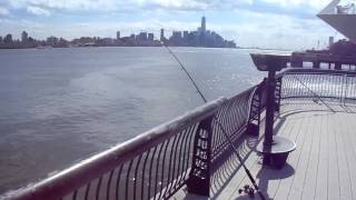First day of stripe bass fishing in Hoboken at the 14th st pier !