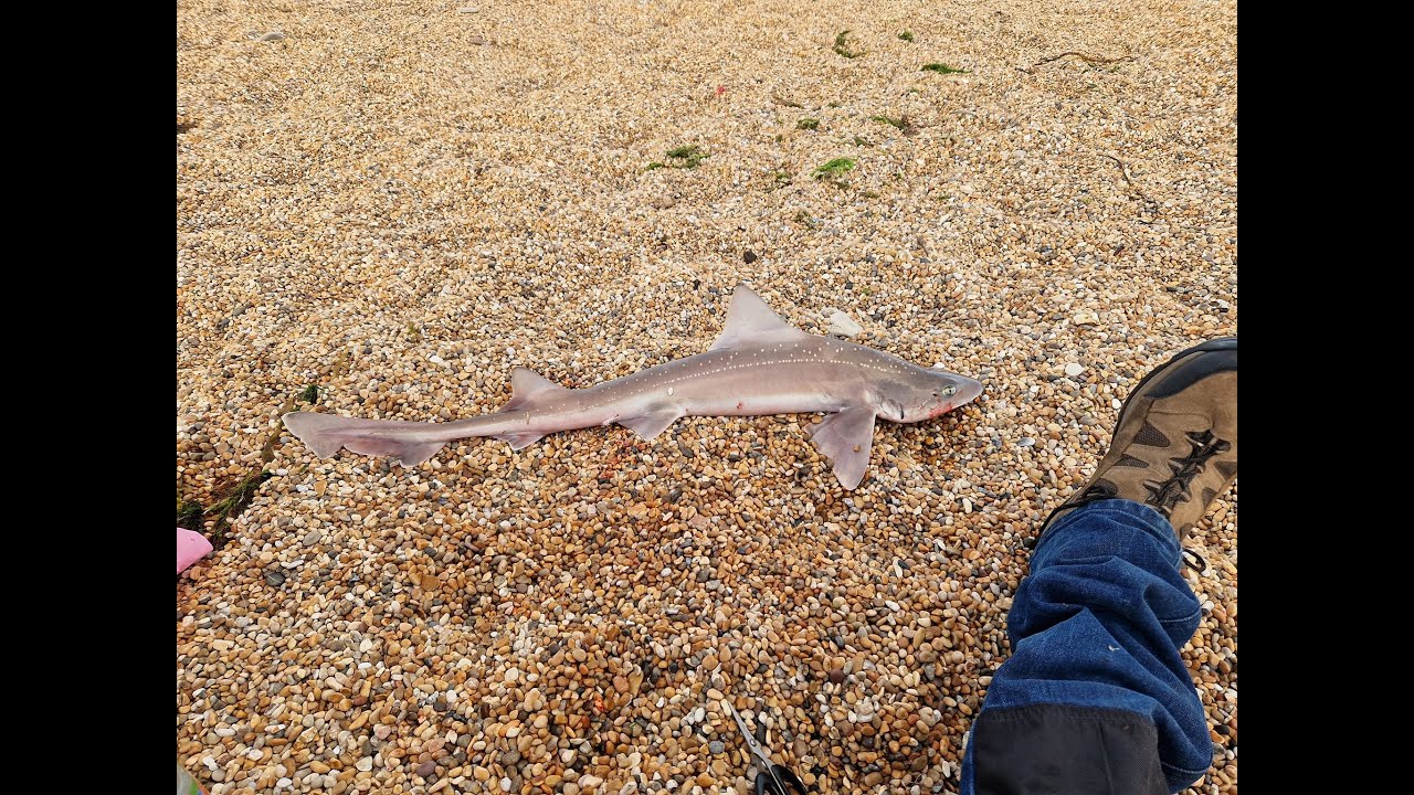 chesil-beach-pb-smashed-twice-in-1-2-an-hour-youtube