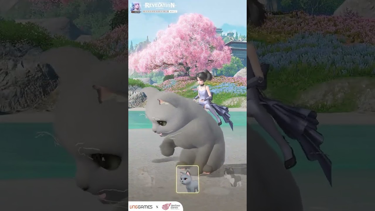 Revelation M |  น้อนแมวเหมียวจากกิจกรรม 