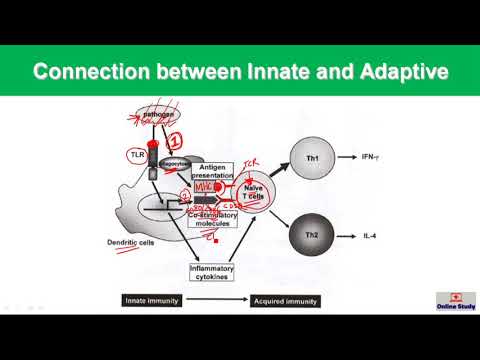 Video: Meta-analyse Van Genexpressie Onthult Immuunresponsconvergentie Op De IFNγ-STAT1-IRF1-as En Adaptieve Immuunweerstandsmechanismen In Lymfoom