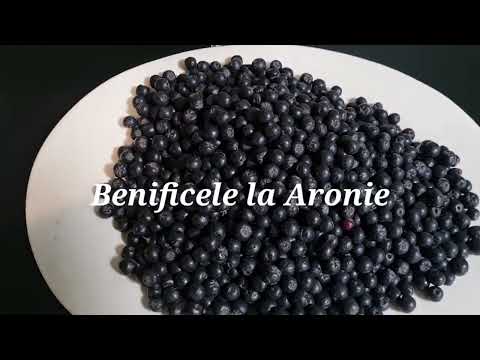 Video: Cerbul mănâncă fructe de aronia?